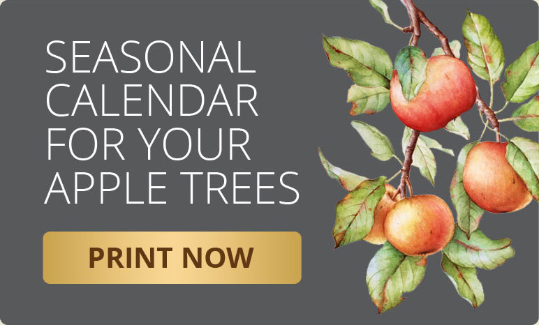 Print a Seasonal Calendar for Apple Trees